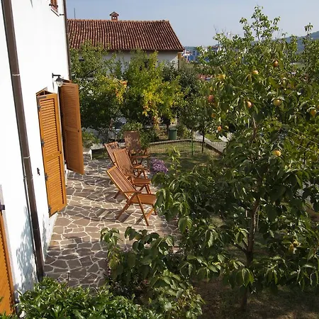 Flander * Izola