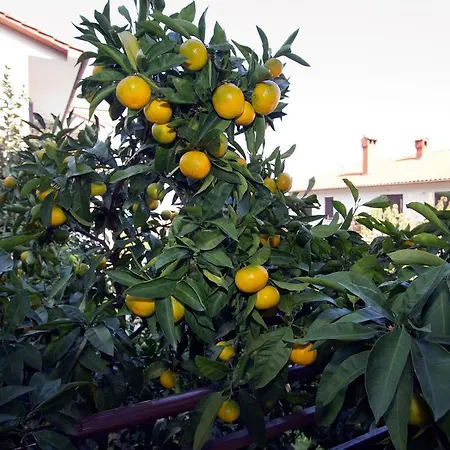 Apartamento Flander *
